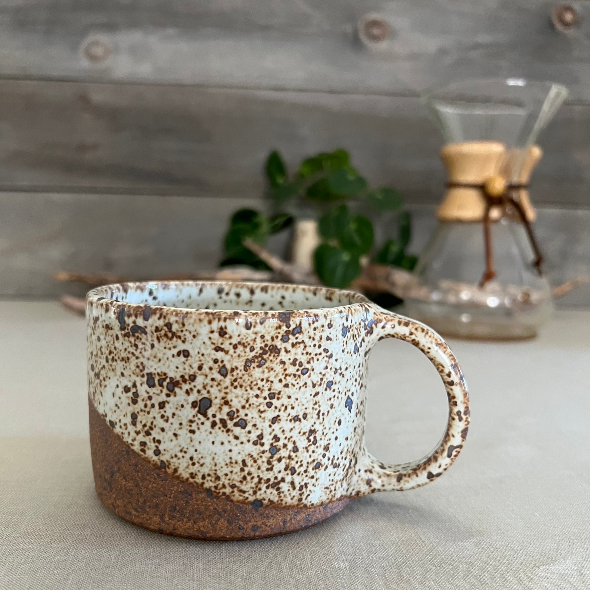 Speckle Collection Mug