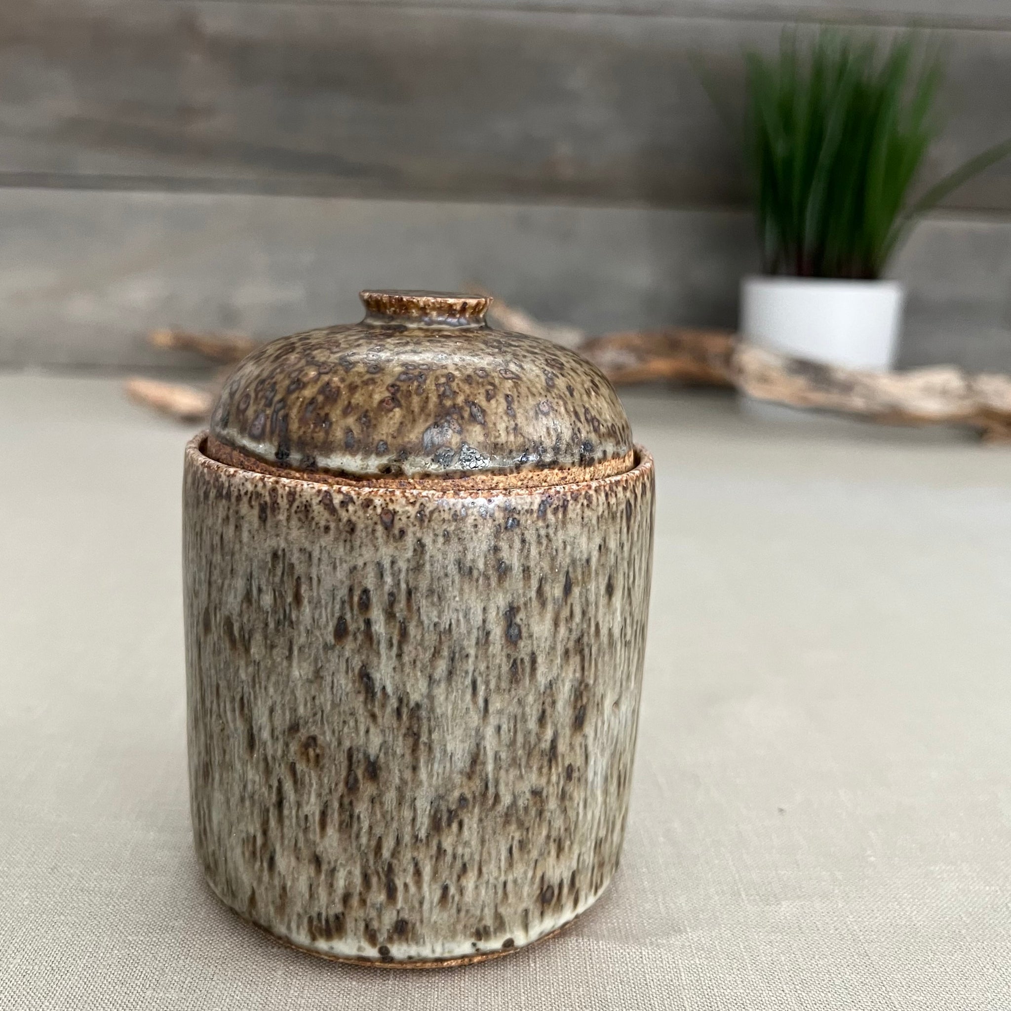 Lidded Dark Speckle Canister