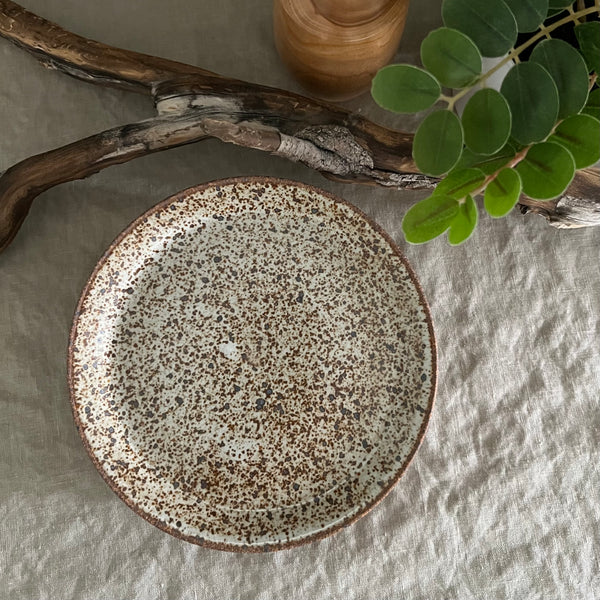 Handmade stoneware pottery. White speckled appetizer plates.