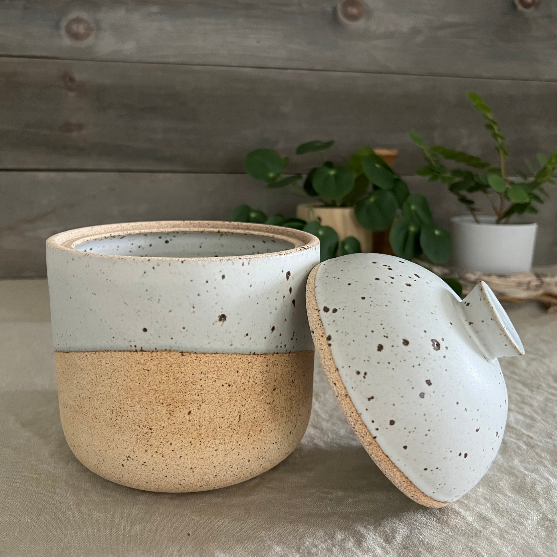 Handmade stoneware pottery. White speckled lidded canister.