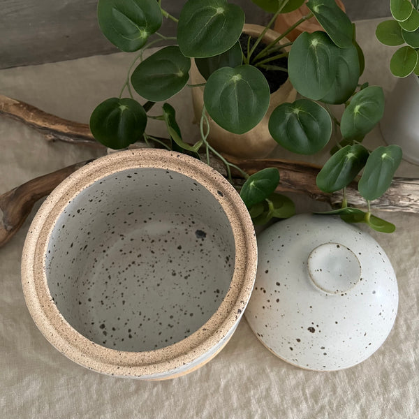 Handmade stoneware pottery. White speckled lidded canister.